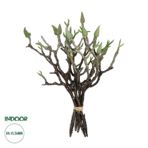 glo-21466-21466_0.webp GLOBOSTAR® ARTIFICIAL GARDEN GREEN ORCHID BOUQET 21466 ΤΕΧΝΗΤΟ ΔΙΑΚΟΣΜΗΤΙΚΟ ΜΠΟΥΚΕΤΟ ΠΡΑΣΙ