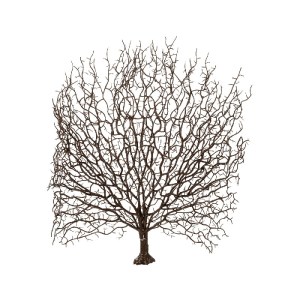glo-21467-21467_2.webp GLOBOSTAR® ARTIFICIAL GARDEN BROWN COLAR BRANCH 21467 ΤΕΧΝΗΤΟ ΔΙΑΚΟΣΜΗΤΙΚΟ ΚΛΑΔΙ ΚΑΦΕ KOΡΑ