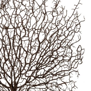 glo-21467-21467_3.webp GLOBOSTAR® ARTIFICIAL GARDEN BROWN COLAR BRANCH 21467 ΤΕΧΝΗΤΟ ΔΙΑΚΟΣΜΗΤΙΚΟ ΚΛΑΔΙ ΚΑΦΕ KOΡΑ