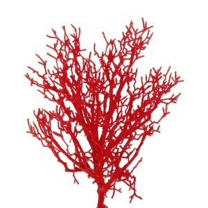 glo-21468-21468_3.webp GLOBOSTAR® ARTIFICIAL GARDEN RED COLAR BRANCH 21468 ΤΕΧΝΗΤΟ ΔΙΑΚΟΣΜΗΤΙΚΟ ΚΛΑΔΙ ΚΟΚΚΙΝΟ KOΡ