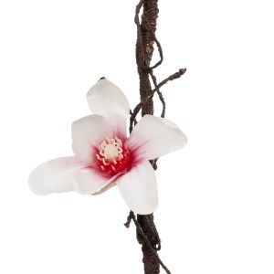 glo-21470-21470_4.webp GLOBOSTAR® ARTIFICIAL GARDEN MANGOLIA FLOWER VINE 21470 ΤΕΧΝΗΤΟ ΔΙΑΚΟΣΜΗΤΙΚΟ ΚΛΑΔΙ ΜΑΝΟΛΙΑ