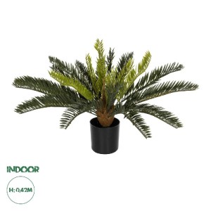 glo-21474-21474_0.webp GLOBOSTAR® ARTIFICIAL GARDEN CYCADS 21474 ΤΕΧΝΗΤΟ ΔΙΑΚΟΣΜΗΤΙΚΟ ΦΥΤΟ ΚΥΚΑΣ Υ42CM