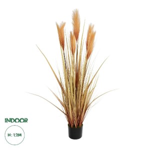 glo-21475-21475_0.webp GLOBOSTAR® ARTIFICIAL GARDEN PAMPAS GRASS 21475 ΤΕΧΝΗΤΟ ΔΙΑΚΟΣΜΗΤΙΚΟ ΦΥΤΟ ΠΑΜΠΑΣ Υ120CM
