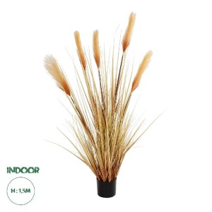 glo-21476-21476_0.webp GLOBOSTAR® ARTIFICIAL GARDEN PAMPAS GRASS 21476 ΤΕΧΝΗΤΟ ΔΙΑΚΟΣΜΗΤΙΚΟ ΦΥΤΟ ΜΠΕΖ ΠΑΜΠΑΣ Μ90 