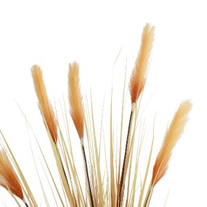 glo-21476-21476_3.webp GLOBOSTAR® ARTIFICIAL GARDEN PAMPAS GRASS 21476 ΤΕΧΝΗΤΟ ΔΙΑΚΟΣΜΗΤΙΚΟ ΦΥΤΟ ΜΠΕΖ ΠΑΜΠΑΣ Μ90 