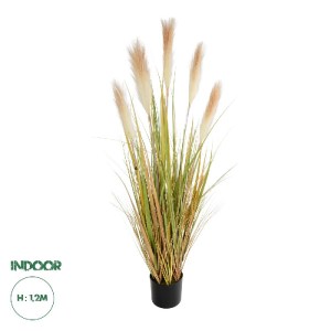 glo-21477-21477_0.webp GLOBOSTAR® ARTIFICIAL GARDEN PAMPAS GRASS 21477 ΤΕΧΝΗΤΟ ΔΙΑΚΟΣΜΗΤΙΚΟ ΦΥΤΟ ΠΑΜΠΑΣ Υ120CM