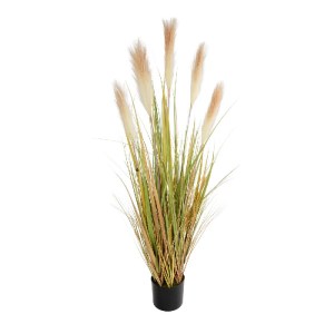 glo-21477-21477_2.webp GLOBOSTAR® ARTIFICIAL GARDEN PAMPAS GRASS 21477 ΤΕΧΝΗΤΟ ΔΙΑΚΟΣΜΗΤΙΚΟ ΦΥΤΟ ΠΑΜΠΑΣ Υ120CM