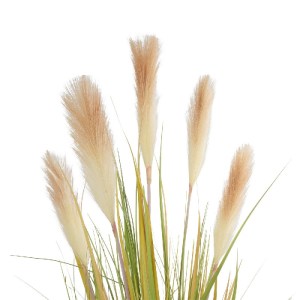 glo-21477-21477_3.webp GLOBOSTAR® ARTIFICIAL GARDEN PAMPAS GRASS 21477 ΤΕΧΝΗΤΟ ΔΙΑΚΟΣΜΗΤΙΚΟ ΦΥΤΟ ΠΑΜΠΑΣ Υ120CM