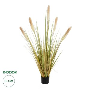 glo-21478-21478_0.webp GLOBOSTAR® ARTIFICIAL GARDEN PAMPAS GRASS 21478 ΤΕΧΝΗΤΟ ΔΙΑΚΟΣΜΗΤΙΚΟ ΦΥΤΟ ΜΠΕΖ & ΠΡΑΣΙΝΟ Π
