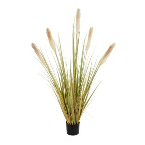 glo-21478-21478_2.webp GLOBOSTAR® ARTIFICIAL GARDEN PAMPAS GRASS 21478 ΤΕΧΝΗΤΟ ΔΙΑΚΟΣΜΗΤΙΚΟ ΦΥΤΟ ΜΠΕΖ & ΠΡΑΣΙΝΟ Π