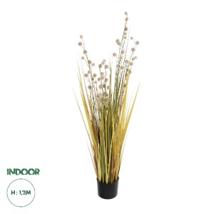 glo-21479-21479_0.webp GLOBOSTAR® ARTIFICIAL GARDEN CRASPEDIA GRASS 21479 ΤΕΧΝΗΤΟ ΔΙΑΚΟΣΜΗΤΙΚΟ ΦΥΤΟ ΚΡΑΣΠΕΔΙΑ  Υ1