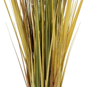 glo-21479-21479_4.webp GLOBOSTAR® ARTIFICIAL GARDEN CRASPEDIA GRASS 21479 ΤΕΧΝΗΤΟ ΔΙΑΚΟΣΜΗΤΙΚΟ ΦΥΤΟ ΚΡΑΣΠΕΔΙΑ  Υ1