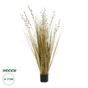 glo-21480-21480_0.webp GLOBOSTAR® ARTIFICIAL GARDEN CRASPEDIA GRASS 21480 ΤΕΧΝΗΤΟ ΔΙΑΚΟΣΜΗΤΙΚΟ ΦΥΤΟ ΜΠΕΖ & ΠΡΑΣΙΝ