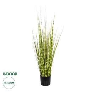 glo-21481-21481_0.webp GLOBOSTAR® ARTIFICIAL GARDEN ZEBRA GRASS 21481 ΤΕΧΝΗΤΟ ΔΙΑΚΟΣΜΗΤΙΚΟ ΦΥΤΟ ΖΕΜΠΡΑ Μ30 X Π20 