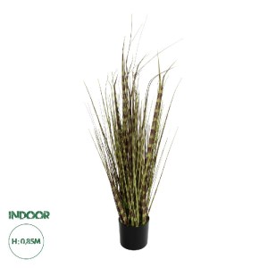 glo-21482-21482_0.webp GLOBOSTAR® ARTIFICIAL GARDEN ZEBRA GRASS 21482 ΤΕΧΝΗΤΟ ΔΙΑΚΟΣΜΗΤΙΚΟ ΦΥΤΟ ΖΕΜΠΡΑ  Υ85CM