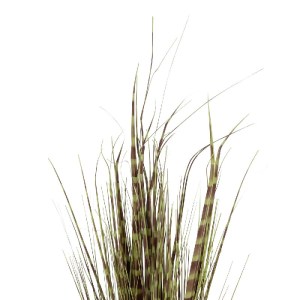 glo-21482-21482_3.webp GLOBOSTAR® ARTIFICIAL GARDEN ZEBRA GRASS 21482 ΤΕΧΝΗΤΟ ΔΙΑΚΟΣΜΗΤΙΚΟ ΦΥΤΟ ΖΕΜΠΡΑ  Υ85CM
