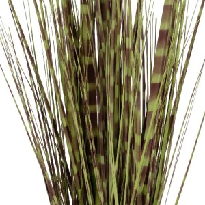 glo-21482-21482_4.webp GLOBOSTAR® ARTIFICIAL GARDEN ZEBRA GRASS 21482 ΤΕΧΝΗΤΟ ΔΙΑΚΟΣΜΗΤΙΚΟ ΦΥΤΟ ΖΕΜΠΡΑ  Υ85CM