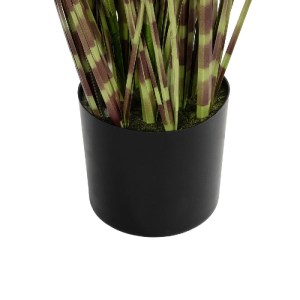 glo-21482-21482_5.webp GLOBOSTAR® ARTIFICIAL GARDEN ZEBRA GRASS 21482 ΤΕΧΝΗΤΟ ΔΙΑΚΟΣΜΗΤΙΚΟ ΦΥΤΟ ΖΕΜΠΡΑ  Υ85CM