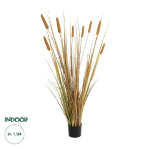 glo-21483-21483_0.webp GLOBOSTAR® ARTIFICIAL GARDEN TYPHA GRASS 21483 ΤΕΧΝΗΤΟ ΔΙΑΚΟΣΜΗΤΙΚΟ ΦΥΤΟ ΓΡΑΣΙΔΙ ΤΗΣ ΤΥΦΑΣ