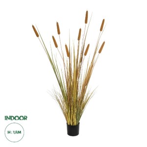 glo-21484-21484_0.webp GLOBOSTAR® ARTIFICIAL GARDEN TYPHA GRASS 21484 ΤΕΧΝΗΤΟ ΔΙΑΚΟΣΜΗΤΙΚΟ ΦΥΤΟ ΓΡΑΣΙΔΙ ΤΗΣ ΤΥΦΑΣ
