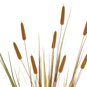 glo-21484-21484_3.webp GLOBOSTAR® ARTIFICIAL GARDEN TYPHA GRASS 21484 ΤΕΧΝΗΤΟ ΔΙΑΚΟΣΜΗΤΙΚΟ ΦΥΤΟ ΓΡΑΣΙΔΙ ΤΗΣ ΤΥΦΑΣ