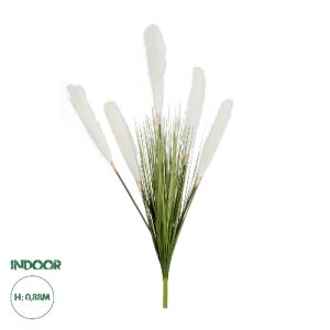 glo-21485-21485_0.webp GLOBOSTAR® ARTIFICIAL GARDEN WHITE PAMPAS GRASS BRANCH 21485 ΤΕΧΝΗΤΟ ΔΙΑΚΟΣΜΗΤΙΚΟ ΚΛΑΔΙ ΛΕ