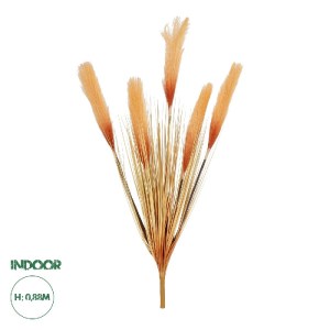 glo-21486-21486_0.webp GLOBOSTAR® ARTIFICIAL GARDEN ORANGE PAMPAS GRASS BRANCH 21486 ΤΕΧΝΗΤΟ ΔΙΑΚΟΣΜΗΤΙΚΟ ΚΛΑΔΙ Π