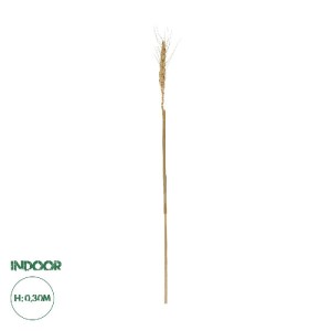 glo-21488-21488_0.webp GLOBOSTAR® ARTIFICIAL GARDEN REAL DRIED WHEAT GRASS 21488 ΤΕΧΝΗΤΟ ΔΙΑΚΟΣΜΗΤΙΚΟ ΚΛΑΔΙ ΣΙΤΑΡ