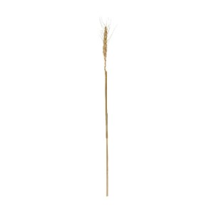 glo-21488-21488_2.webp GLOBOSTAR® ARTIFICIAL GARDEN REAL DRIED WHEAT GRASS 21488 ΤΕΧΝΗΤΟ ΔΙΑΚΟΣΜΗΤΙΚΟ ΚΛΑΔΙ ΣΙΤΑΡ