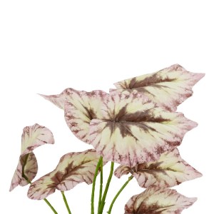 glo-21489-21489_3.webp GLOBOSTAR® ARTIFICIAL GARDEN BEGONIA LEAVES ROOTED 21489 ΤΕΧΝΗΤΟ ΔΙΑΚΟΣΜΗΤΙΚΟ ΦΥΤΟ ΠΟΛΥΧΡΩ