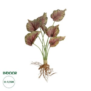 glo-21490-21490_0.webp GLOBOSTAR® ARTIFICIAL GARDEN BEGONIA LEAVES ROOTED 21490 ΤΕΧΝΗΤΟ ΔΙΑΚΟΣΜΗΤΙΚΟ ΦΥΤΟ ΠΟΛΥΧΡΩ