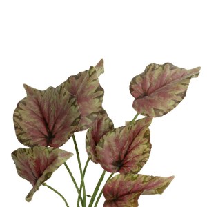 glo-21490-21490_3.webp GLOBOSTAR® ARTIFICIAL GARDEN BEGONIA LEAVES ROOTED 21490 ΤΕΧΝΗΤΟ ΔΙΑΚΟΣΜΗΤΙΚΟ ΦΥΤΟ ΠΟΛΥΧΡΩ