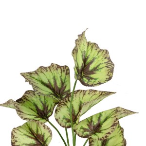 glo-21491-21491_3.webp GLOBOSTAR® ARTIFICIAL GARDEN BEGONIA LEAVES ROOTED 21491 ΤΕΧΝΗΤΟ ΔΙΑΚΟΣΜΗΤΙΚΟ ΦΥΤΟ ΠΟΛΥΧΡΩ