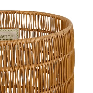 glo-21498-21498_5.webp GLOBOSTAR® ARTIFICIAL GARDEN DAKOTA 21498 ΔΙΑΚΟΣΜΗΤΙΚΟ ΠΛΕΚΤΟ ΚΑΛΑΘΙ - ΚΑΣΠΩ ΓΛΑΣΤΡΑ - FLO
