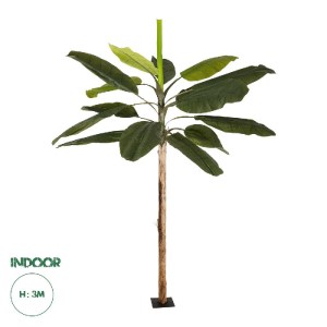 glo-21500-21500_0.webp GLOBOSTAR® ARTIFICIAL GARDEN BANANA TREE 21500 ΤΕΧΝΗΤΟ ΔΙΑΚΟΣΜΗΤΙΚΟ ΔΕΝΤΡΟ ΜΠΑΝΑΝΙΑΣ Υ300C