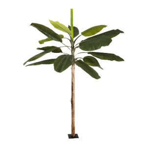 glo-21500-21500_2.webp GLOBOSTAR® ARTIFICIAL GARDEN BANANA TREE 21500 ΤΕΧΝΗΤΟ ΔΙΑΚΟΣΜΗΤΙΚΟ ΔΕΝΤΡΟ ΜΠΑΝΑΝΙΑΣ Υ300C