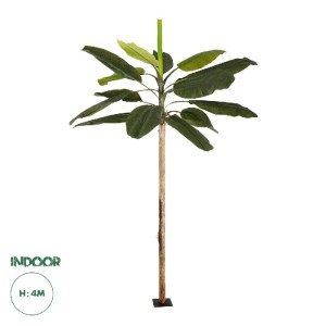 glo-21501-21501_0.webp GLOBOSTAR® ARTIFICIAL GARDEN BANANA TREE 21501 ΤΕΧΝΗΤΟ ΔΙΑΚΟΣΜΗΤΙΚΟ ΔΕΝΤΡΟ ΜΠΑΝΑΝΙΑΣ Υ400C