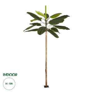 glo-21502-21502_0.webp GLOBOSTAR® ARTIFICIAL GARDEN BANANA TREE 21502 ΤΕΧΝΗΤΟ ΔΙΑΚΟΣΜΗΤΙΚΟ ΔΕΝΤΡΟ ΜΠΑΝΑΝΙΑΣ Υ500C
