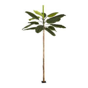 glo-21502-21502_2.webp GLOBOSTAR® ARTIFICIAL GARDEN BANANA TREE 21502 ΤΕΧΝΗΤΟ ΔΙΑΚΟΣΜΗΤΙΚΟ ΔΕΝΤΡΟ ΜΠΑΝΑΝΙΑΣ Υ500C