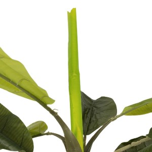 glo-21502-21502_3.webp GLOBOSTAR® ARTIFICIAL GARDEN BANANA TREE 21502 ΤΕΧΝΗΤΟ ΔΙΑΚΟΣΜΗΤΙΚΟ ΔΕΝΤΡΟ ΜΠΑΝΑΝΙΑΣ Υ500C