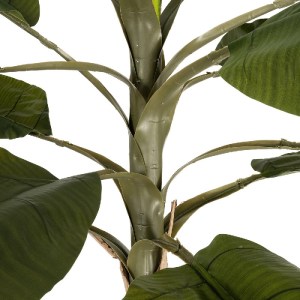 glo-21502-21502_4.webp GLOBOSTAR® ARTIFICIAL GARDEN BANANA TREE 21502 ΤΕΧΝΗΤΟ ΔΙΑΚΟΣΜΗΤΙΚΟ ΔΕΝΤΡΟ ΜΠΑΝΑΝΙΑΣ Υ500C