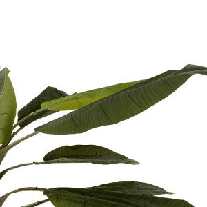 glo-21502-21502_5.webp GLOBOSTAR® ARTIFICIAL GARDEN BANANA TREE 21502 ΤΕΧΝΗΤΟ ΔΙΑΚΟΣΜΗΤΙΚΟ ΔΕΝΤΡΟ ΜΠΑΝΑΝΙΑΣ Υ500C
