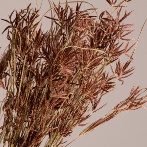 glo-36500-36500_2 GLOBOSTAR® CYPERUS 36500 ΑΠΟΞΗΡΑΜΕΝΟ ΦΥΤΟ ΚΥΠΕΙΡΟΣ - ΜΠΟΥΚΕΤΟ ΔΙΑΚΟΣΜΗΤΙΚΩΝ ΚΛΑΔΙΩΝ ΜΠΕΖ -