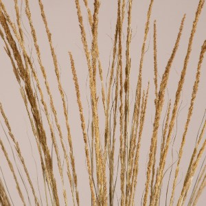 glo-36502-36502_2 GLOBOSTAR® SMUTGRASS 36502 ΑΠΟΞΗΡΑΜΕΝΟ ΦΥΤΟ ΧΟΡΤΑΦΙΛΙΑ - ΜΠΟΥΚΕΤΟ ΔΙΑΚΟΣΜΗΤΙΚΩΝ ΚΛΑΔΙΩΝ ΜΠ