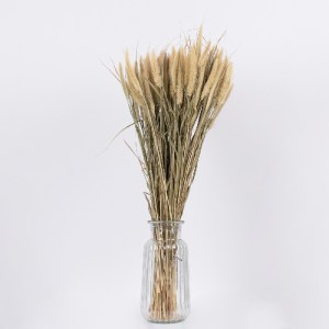glo-36503-36503_3 GLOBOSTAR® PENNISETUM 36503 ΑΠΟΞΗΡΑΜΕΝΟ ΦΥΤΟ ΠΕΝΝΗΣΙΟ - ΜΠΟΥΚΕΤΟ ΔΙΑΚΟΣΜΗΤΙΚΩΝ ΚΛΑΔΙΩΝ ΜΠΕ