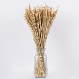 glo-36505-36505_3 GLOBOSTAR® RISEGRASS 36505 ΑΠΟΞΗΡΑΜΕΝΟ ΦΥΤΟ ΡΥΖΙ - ΜΠΟΥΚΕΤΟ ΔΙΑΚΟΣΜΗΤΙΚΩΝ ΚΛΑΔΙΩΝ ΜΠΕΖ Υ60