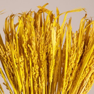 glo-36506-36506_2 GLOBOSTAR® RISEGRASS 36506 ΑΠΟΞΗΡΑΜΕΝΟ ΦΥΤΟ ΡΥΖΙ - ΜΠΟΥΚΕΤΟ ΔΙΑΚΟΣΜΗΤΙΚΩΝ ΚΛΑΔΙΩΝ ΜΠΕΖ - Κ