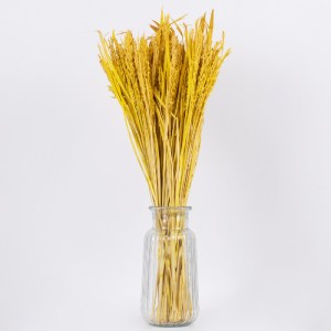 glo-36506-36506_3 GLOBOSTAR® RISEGRASS 36506 ΑΠΟΞΗΡΑΜΕΝΟ ΦΥΤΟ ΡΥΖΙ - ΜΠΟΥΚΕΤΟ ΔΙΑΚΟΣΜΗΤΙΚΩΝ ΚΛΑΔΙΩΝ ΜΠΕΖ - Κ