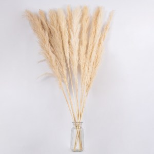 glo-36509-36509_3 GLOBOSTAR® PAMPASGRASS 36509 ΑΠΟΞΗΡΑΜΕΝΟ ΦΥΤΟ ΓΡΑΣΙΔΙ ΤΗΣ ΠΑΜΠΑΣ - ΜΠΟΥΚΕΤΟ ΔΙΑΚΟΣΜΗΤΙΚΩΝ 
