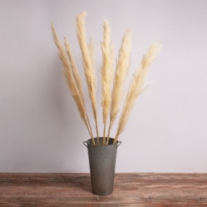 glo-36510-36510_0 GLOBOSTAR® PAMPASGRASS 36510 ΑΠΟΞΗΡΑΜΕΝΟ ΦΥΤΟ ΓΡΑΣΙΔΙ ΤΗΣ ΠΑΜΠΑΣ - ΜΠΟΥΚΕΤΟ ΔΙΑΚΟΣΜΗΤΙΚΩΝ 